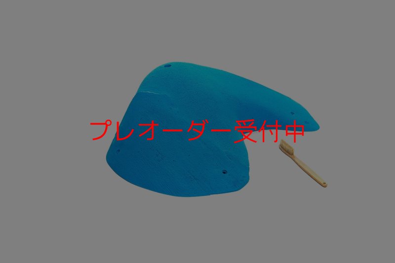 画像2: CT 2018 MEG 3/プレオーダー (2)