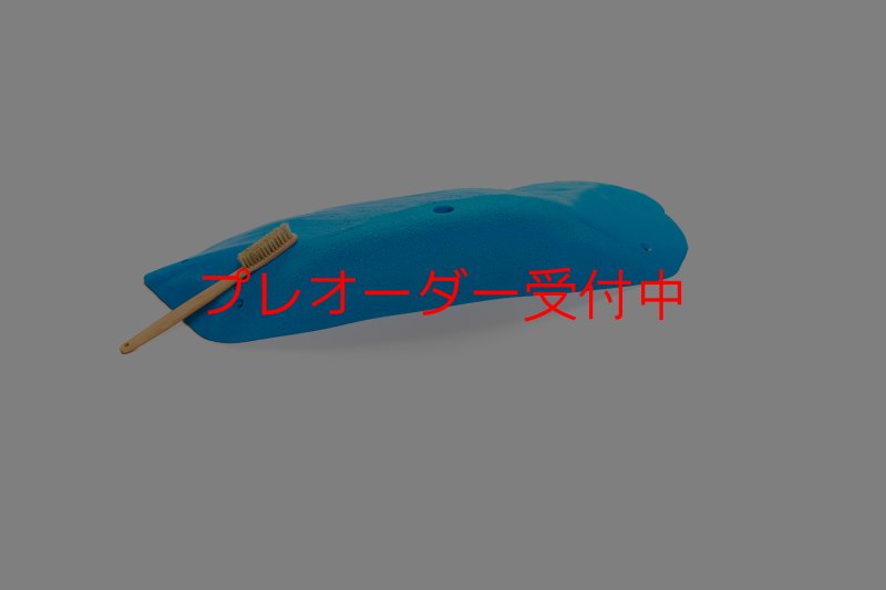 画像2: CT 2018 XXL 3/プレオーダー (2)
