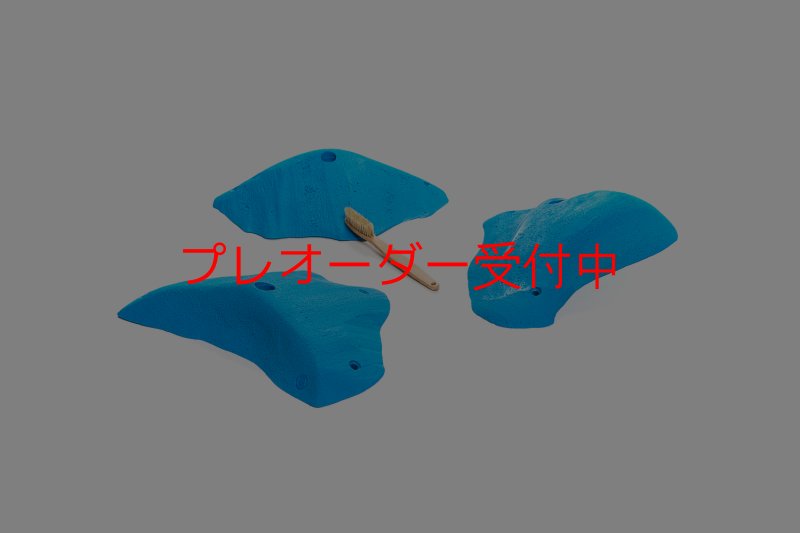 画像1: CT 2018 XL 6/プレオーダー (1)