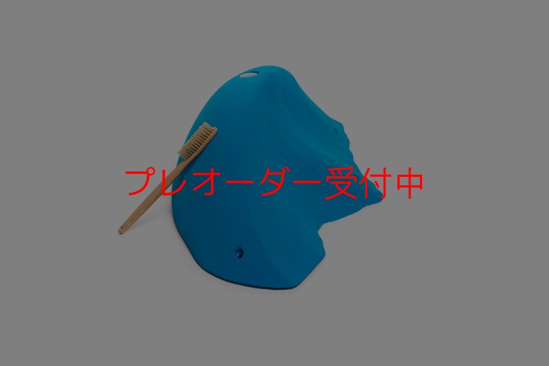 画像1: CT Wave Avalanche/プレオーダー (1)