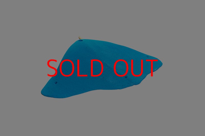 画像2: CT 2018 XXL 5 (2)