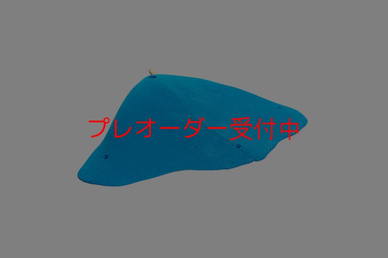 画像2: CT 2018 XXL 5/プレオーダー (2)
