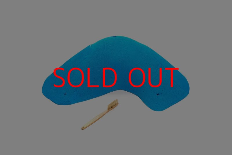 画像3: CT 2018 MEG 3 (3)