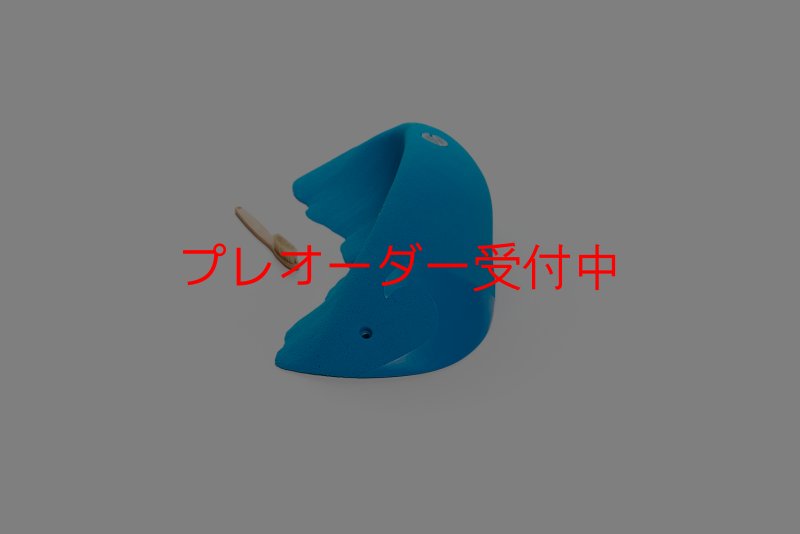 画像4: CT Wave Mavericks/プレオーダー (4)