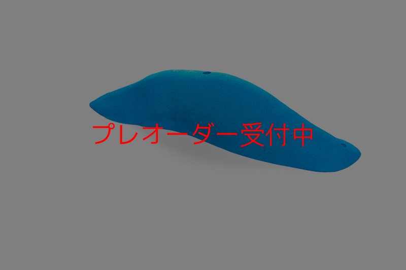 画像4: CT 2018 MEG 9/プレオーダー (4)