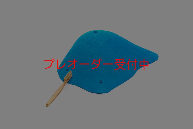画像7: CT 2018 XXL 1/プレオーダー (7)