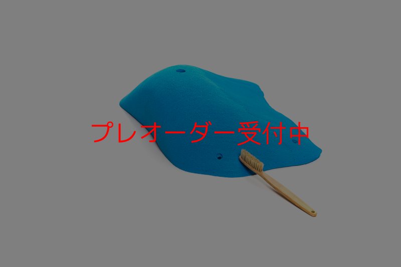 画像6: CT 2018 XXL 1/プレオーダー (6)
