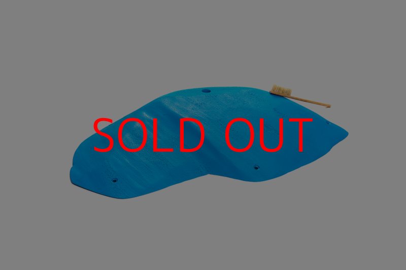 画像5: CT 2018 XXL 3 (5)