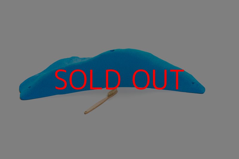 画像2: CT 2018 MEG 5 (2)