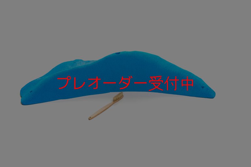 画像2: CT 2018 MEG 5/プレオーダー (2)