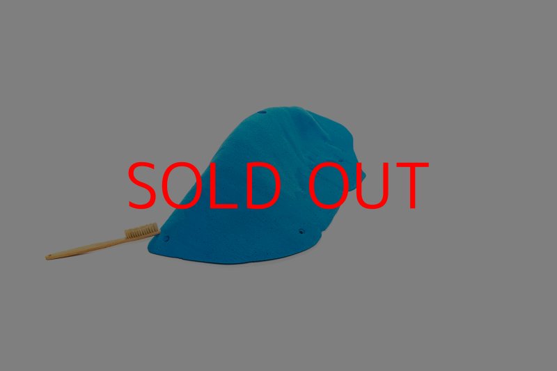 画像7: CT 2018 MEG 8 (7)