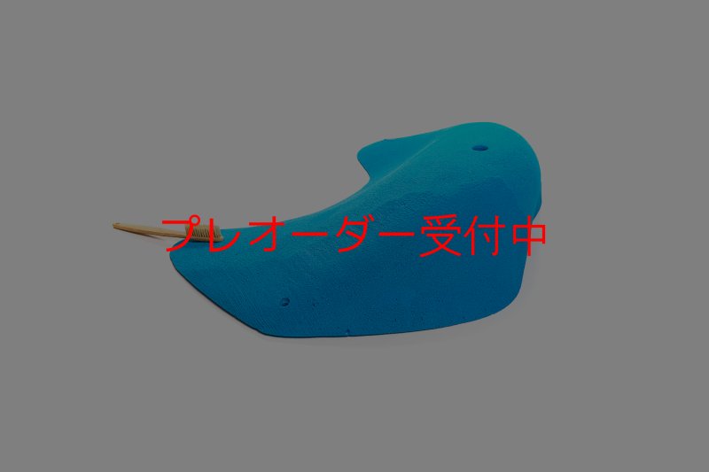 画像7: CT 2018 MEG 4/プレオーダー (7)