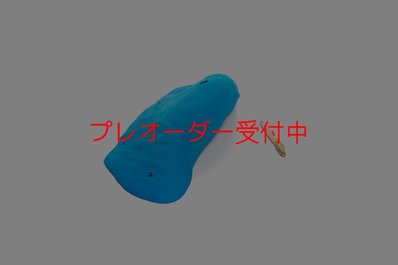 画像7: CT 2018 MEG 6/プレオーダー (7)