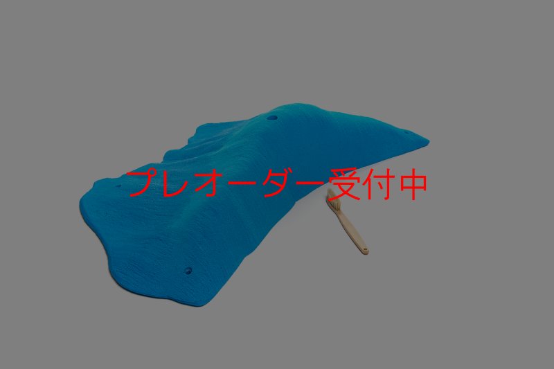画像1: CT 2018 MEG 5/プレオーダー (1)