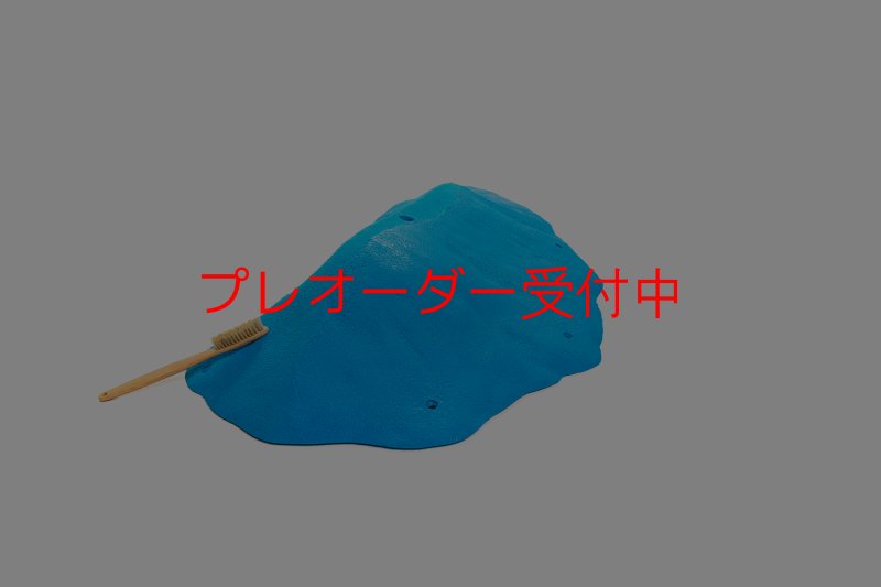 画像2: CT 2018 MEG 7/プレオーダー (2)