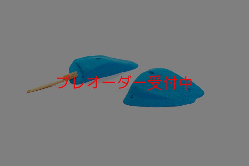 画像2: CT 2018 XL 5/プレオーダー (2)