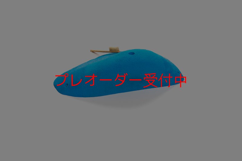 画像3: CT 2018 XXL 2/プレオーダー (3)