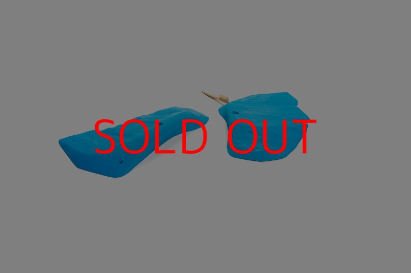 画像4: CT 2018 XL 1 (4)