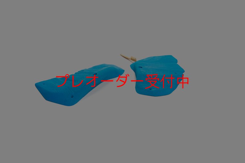 画像4: CT 2018 XL 1/プレオーダー (4)