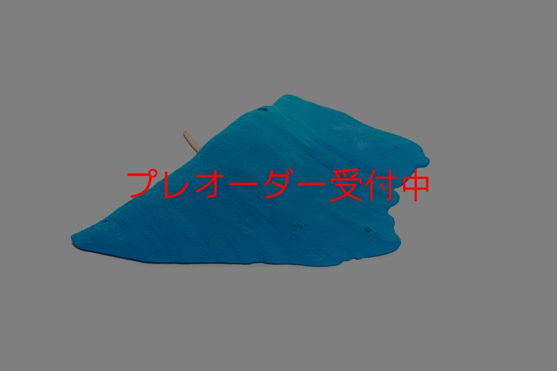 画像4: CT 2018 MEG 5/プレオーダー (4)