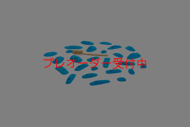 画像3: CT 2018 XS 1/プレオーダー (3)