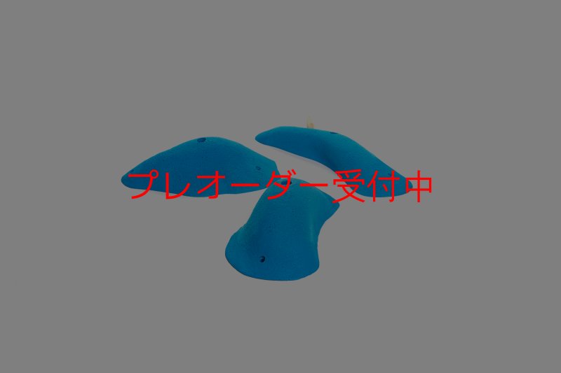 画像3: CT 2018 XL 4/プレオーダー (3)