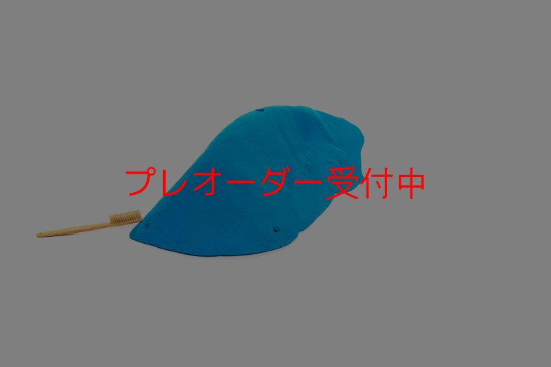 画像1: CT 2018 MEG 8/プレオーダー (1)