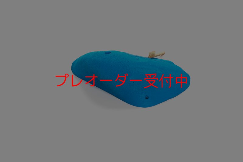 画像4: CT 2018 XXL 2/プレオーダー (4)
