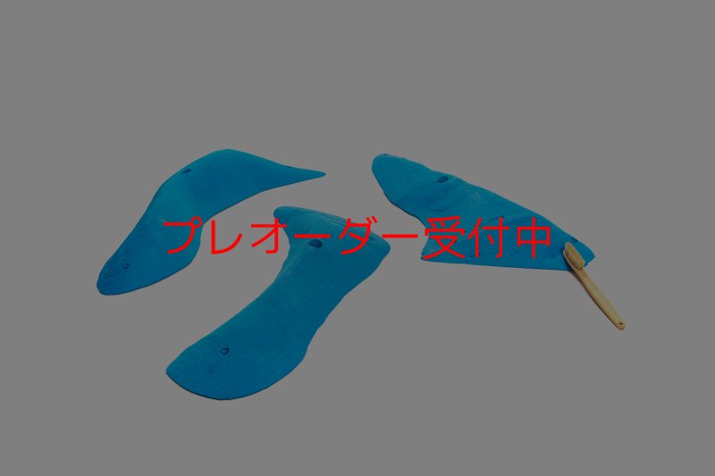 画像1: CT 2018 XL 3/プレオーダー (1)