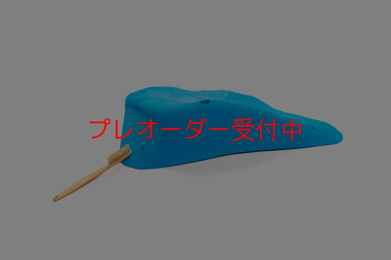 画像6: CT 2018 XXL 5/プレオーダー (6)