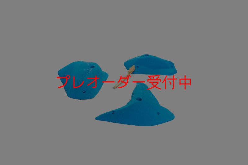 画像2: CT 2018 L 2/プレオーダー (2)