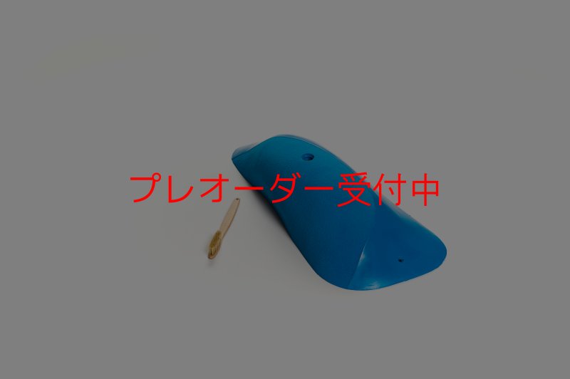 画像1: CT Wave Oahu/プレオーダー (1)