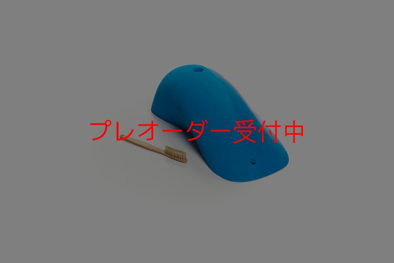 画像1: CT Wave Shirahama/プレオーダー (1)