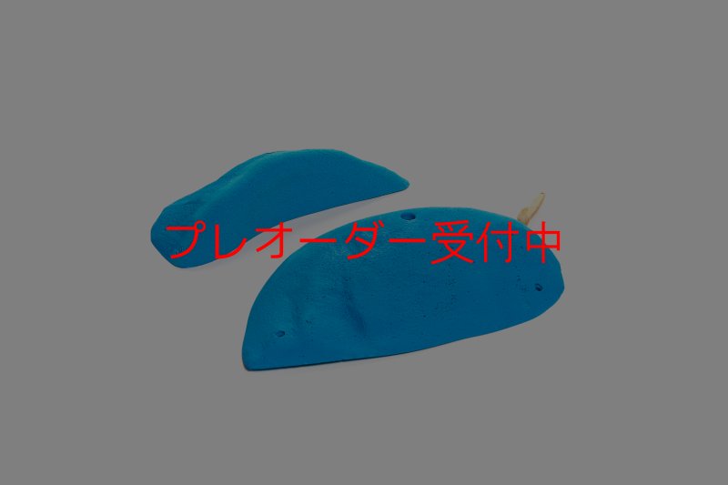 画像5: CT 2018 XL 2/プレオーダー (5)