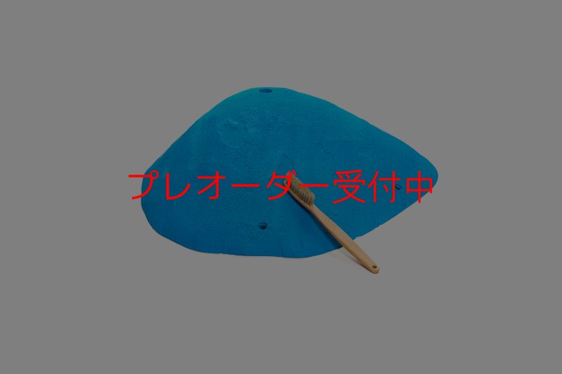 画像6: CT 2018 XXL 2/プレオーダー (6)