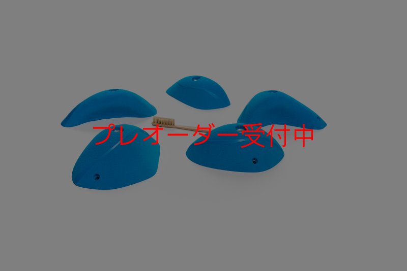 画像6: CT Wave Bank/プレオーダー (6)