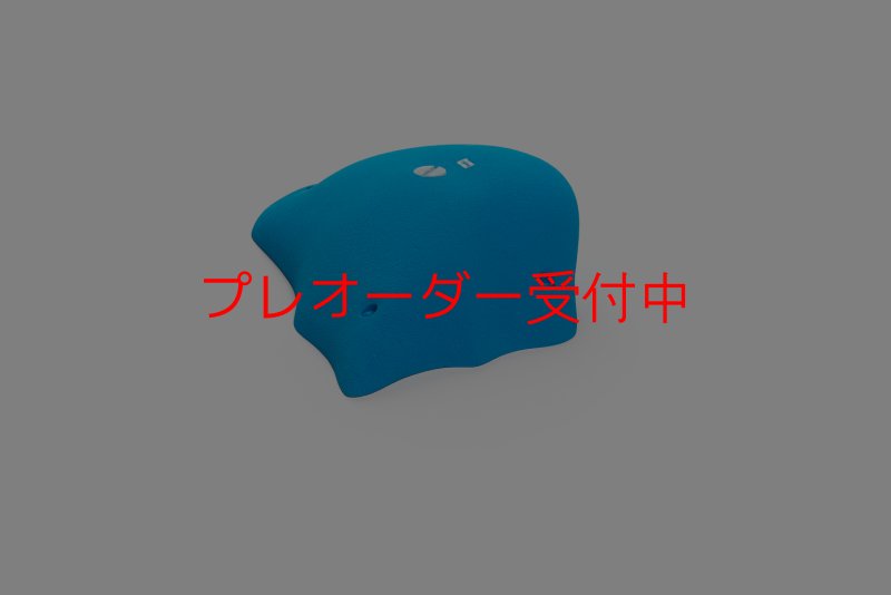 画像7: CT Wave Belharra/プレオーダー (7)