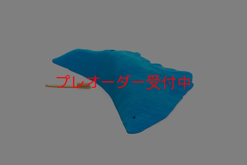 画像3: CT 2018 MEG 5/プレオーダー (3)