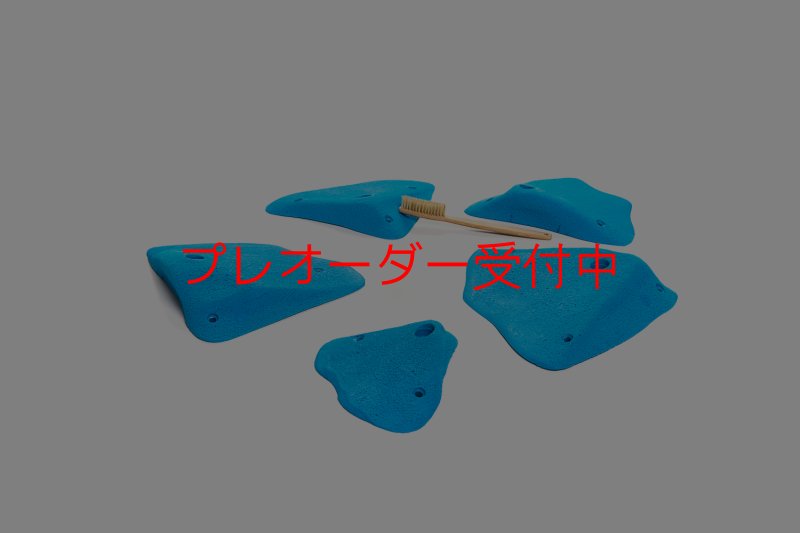 画像6: CT 2018 L 3/プレオーダー (6)