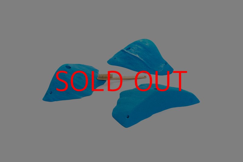 画像6: CT 2018 XL 6 (6)