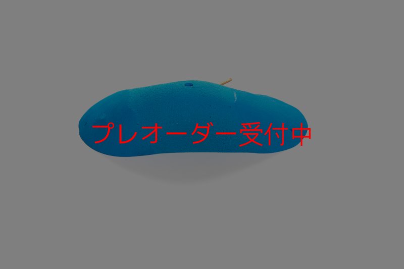 画像6: CT 2018 MEG 3/プレオーダー (6)