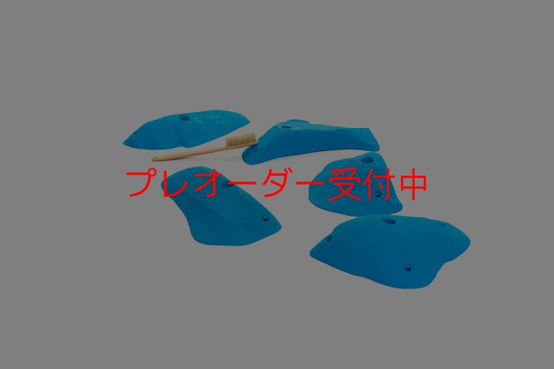 画像3: CT 2018 L 4/プレオーダー (3)