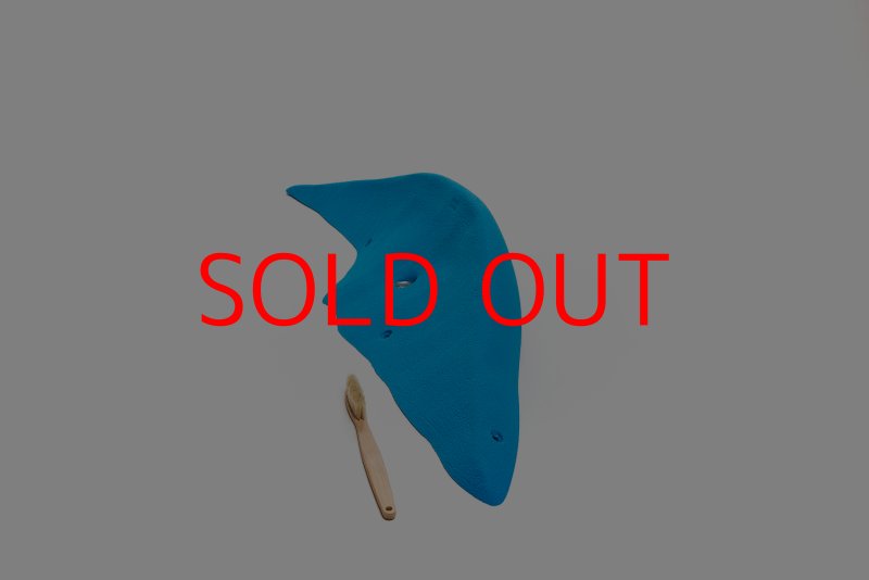 画像4: CT Wave Jaws (4)