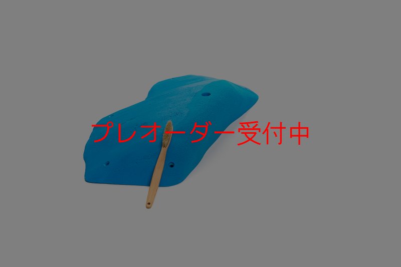 画像1: CT 2018 XXL 3/プレオーダー (1)