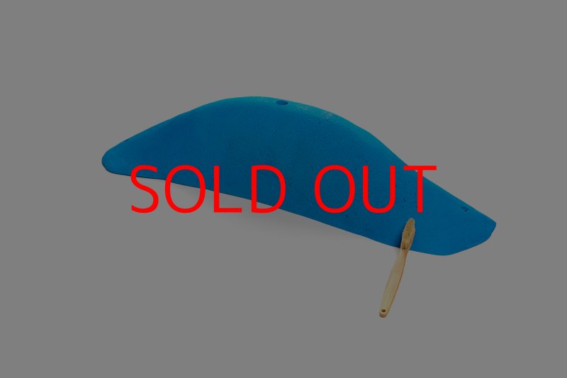 画像7: CT 2018 MEG 9 (7)