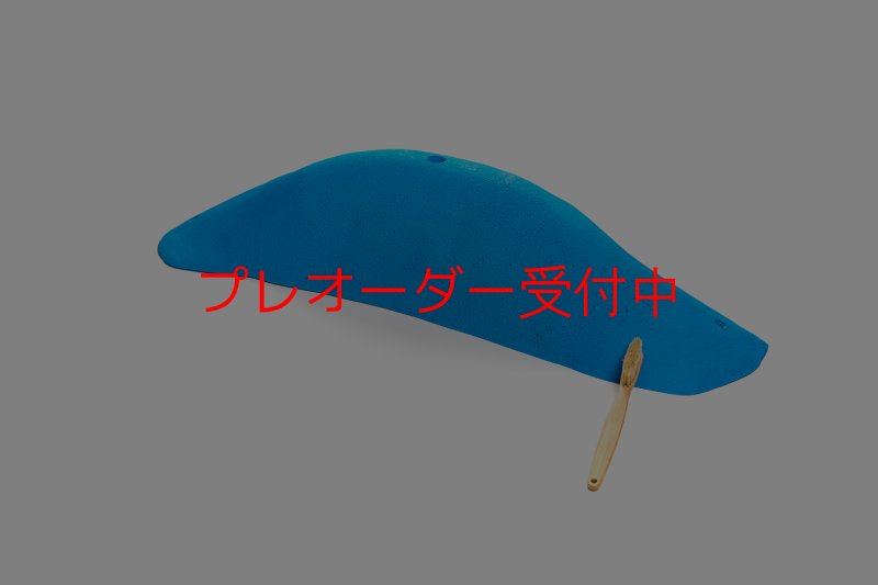 画像7: CT 2018 MEG 9/プレオーダー (7)