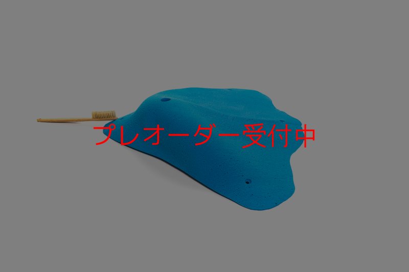 画像7: CT 2018 XXL 5/プレオーダー (7)