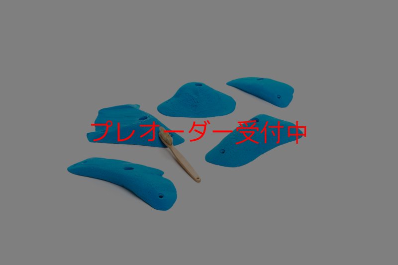 画像1: CT 2018 L 4/プレオーダー (1)