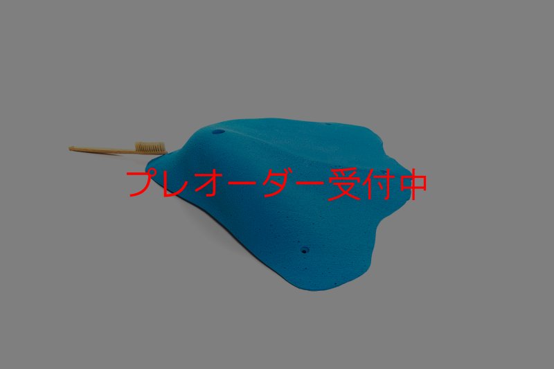画像1: CT 2018 XXL 5/プレオーダー (1)
