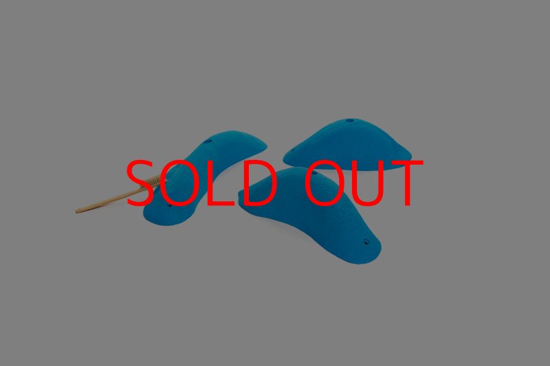 画像7: CT 2018 XL 4 (7)